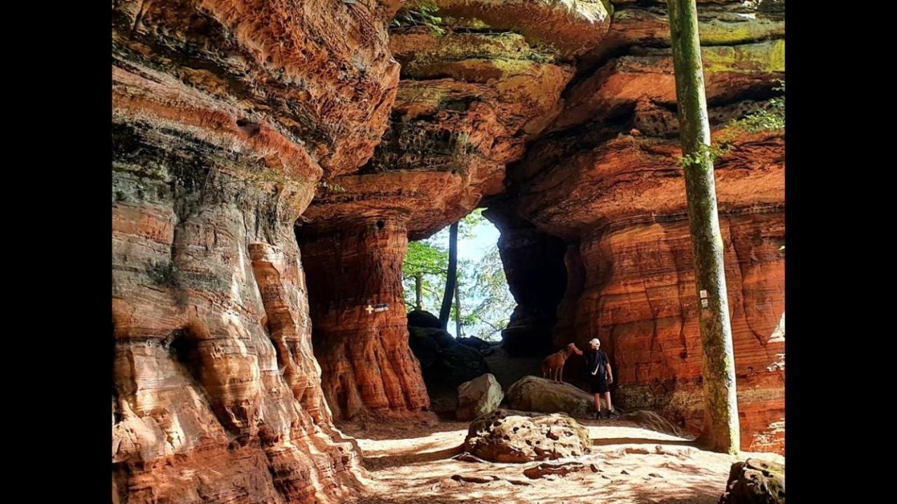 La Petite Halte Villa Lemberg Luaran gambar