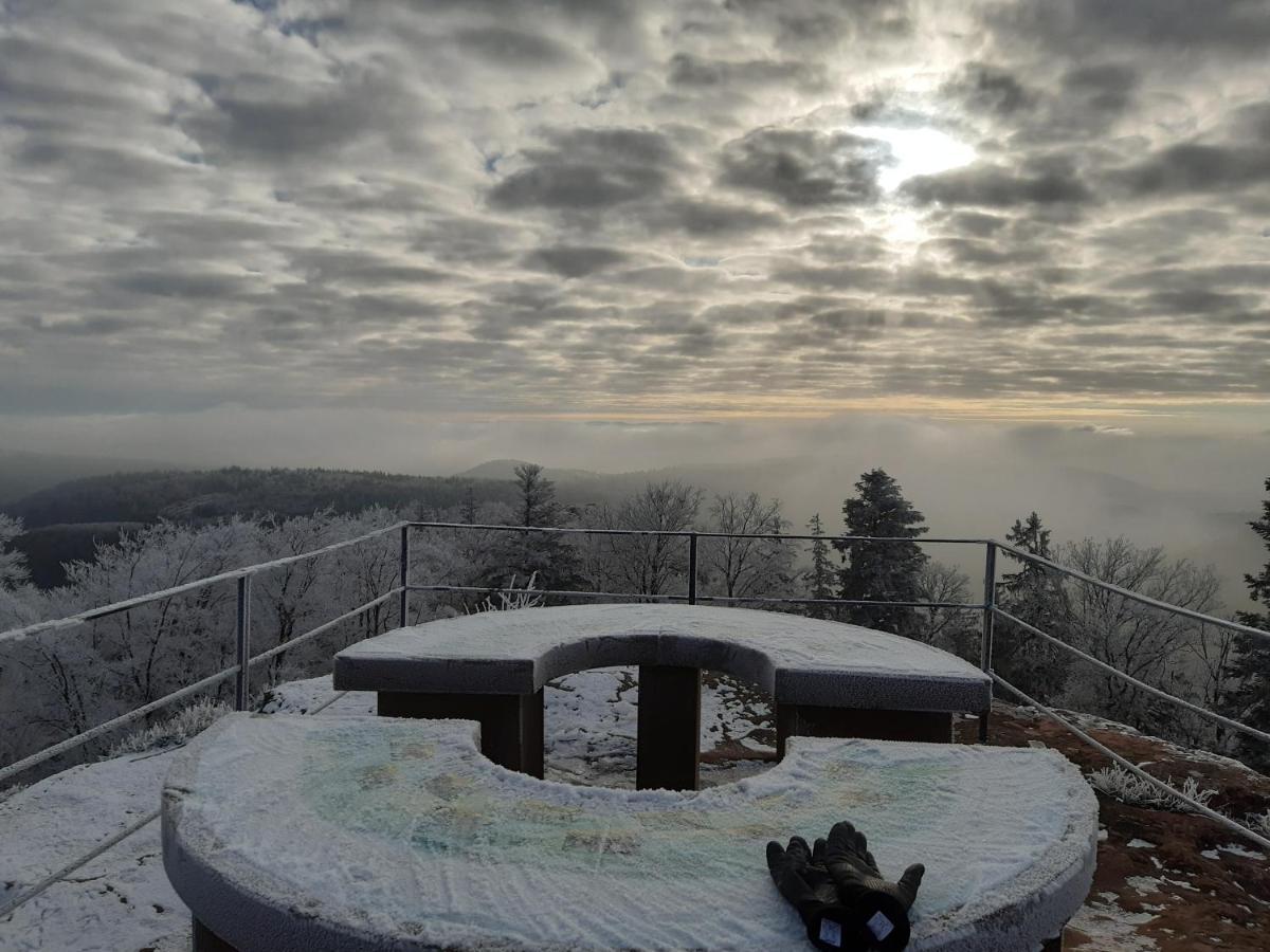 La Petite Halte Villa Lemberg Luaran gambar